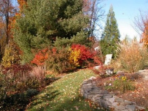 Visit Dane Grier Landscape Design