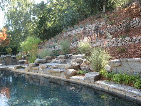 Visit Claudia Vieira Landscape Design