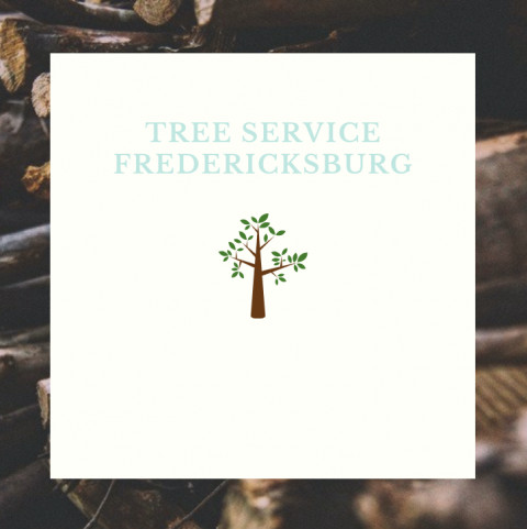 Visit Tree Service Fredericksburg