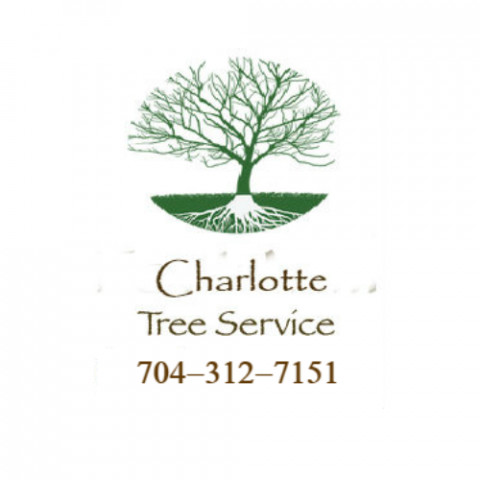 Visit Charlotte Tree Service